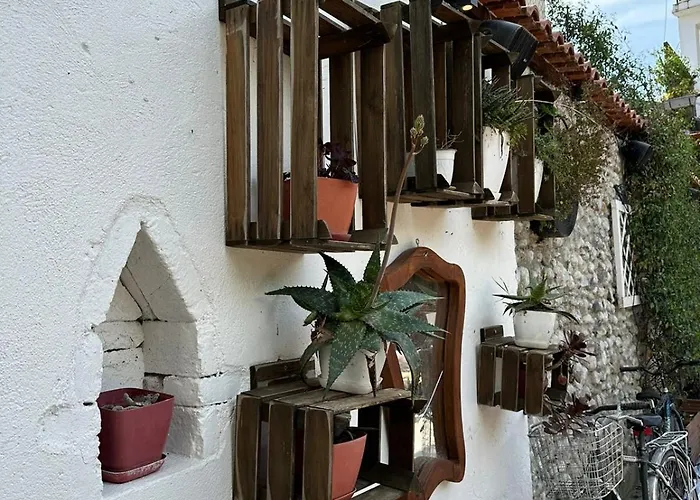 بيت شباب Kultura شكودر